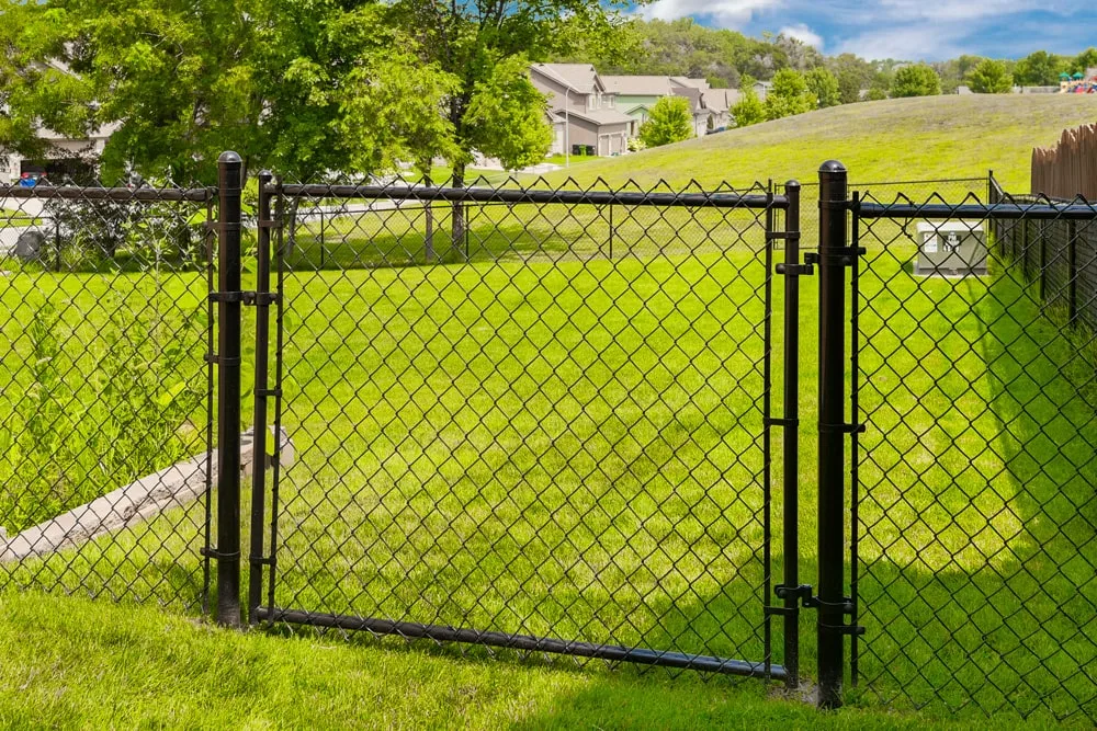 Chain Link Fence Installation | Black Vinyl & Galvanized Steel