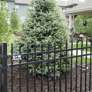 Steel Fence in residential backyard